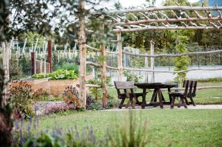 Torgglbauer Apartment 5 - Meran - 1