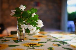 Antico Podere Carbone - 7