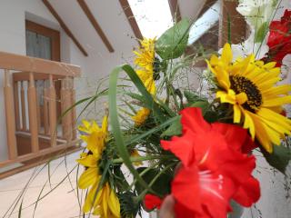 Ferienwohnung Haus Doris - 5