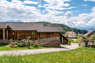 Aschnerhof Holzhitt - 9