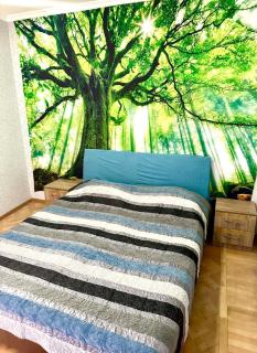 Budget Home - 1