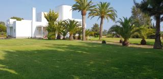 Finca Campo Viejo - 7