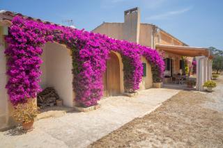 Sa Clota Nova - Felanitx - 9