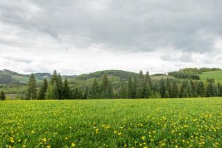 Ferienwohnung Gartenblick - 7