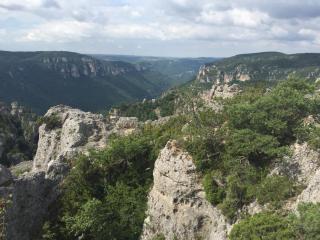 Rives du Tarn - 1