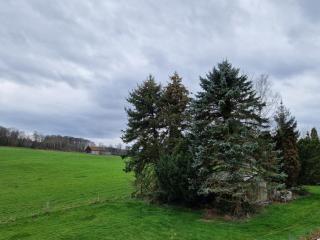 Ferienwohnung Arnsberger Wald - 1