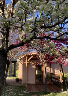 Petit nid pour oiseaux de passage - 0