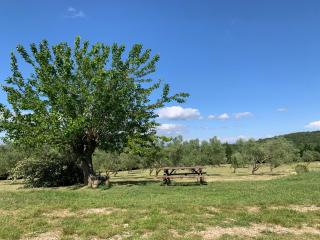 Gîte Arizona - Le Mas De Peyraube - Bessas - 3