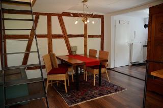 Haus Haselmaus - Buntspecht - 7