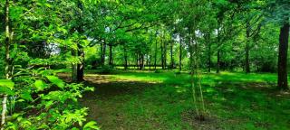Le relais du silence - 3