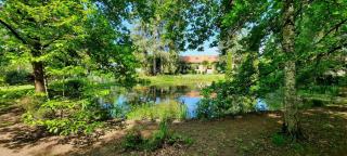 Le relais du silence - 5