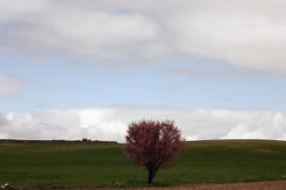 Casa Rural La Alcarria - 5