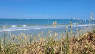 Maison De Plage La Grise Brèche - 0