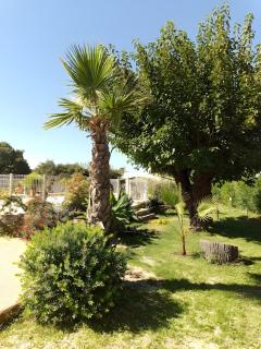 Le Mas Du Bouquet - Seynes - 3