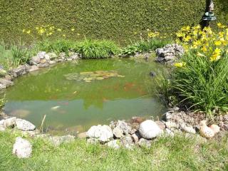 Ferienwohnung mit Terrasse, Garten - 3