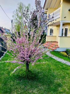 Ferienwohnung mit Terrasse, Garten - 1