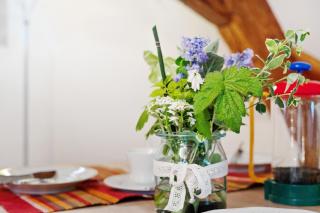 Ferienwohnungen 'am Waldrand' - 2