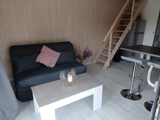 La Cabanne Du Vigné - 8