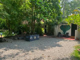 Mint Inside Garden - 9