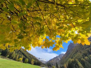 Seeberhof - Urlaub am Bauerhof - 2