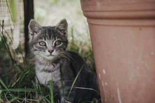 Seeberhof - Urlaub am Bauerhof - 6