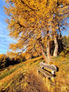 Seeberhof - Urlaub am Bauerhof - 1