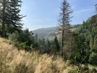 Rosenberg - 2