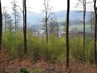 Torhaus Schloss Wocklum - Balve - 3