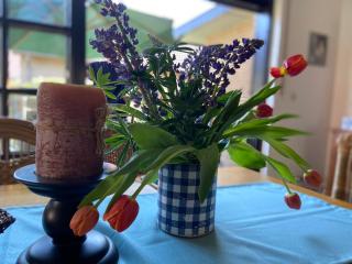 Ferienhaus Wacholderhain - 2