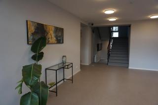 Kaiju Apartment 15 - 4