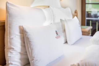 Haus zur Vogelweide App 5 - 6