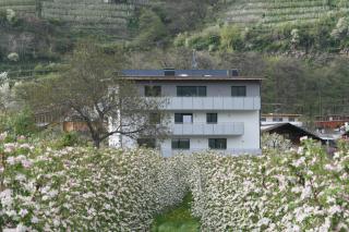 Waalhof Ferienwohnung Apfelblüte - 0