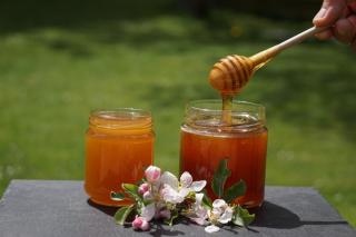 Waalhof Ferienwohnung Apfelblüte - 3