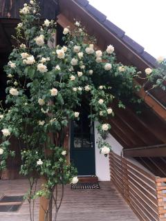 Schutterzeit - 8