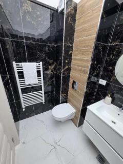 Apartament DeLux Spa Caciulata - 1