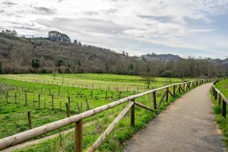 Apartamentos Les Cuartes - 2