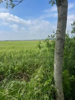 Lüttje Reethuus - 1