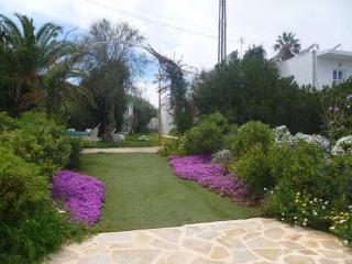 Apartamento Ciel Azul - 1
