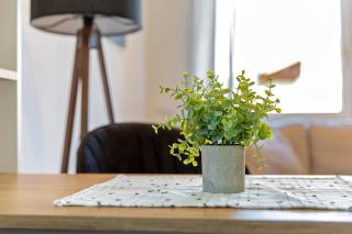 Ferienwohnung Sophia Inzell - Neu - 2