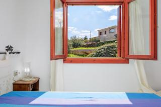 Trilo Panorama - 1