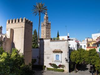 Puerta Principe Luxury Apartments - Sevilla - 0