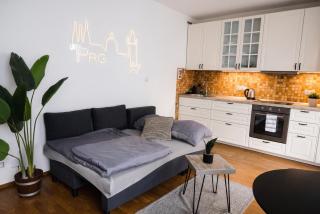 Apartment with Private Jacuzzi & Terrace in the center of Prague - Prague - 3
