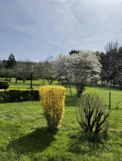 Maison campagne-Piscine-Chaulgnes - 6