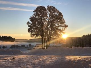 Rengethof - 2