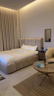 شقة استوديو أنيقه ومريحه - 5