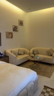 شقة استوديو أنيقه ومريحه - 3