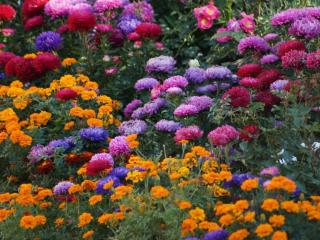 Gästehaus Minkel - 2