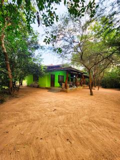 Ever Green Eco Resort Wilpattu - 2