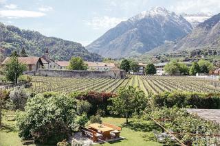 Freienfeldhof Golden - Lagundo - 2