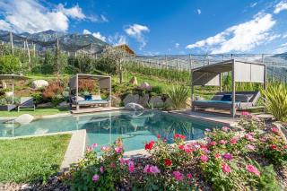 Feldhof Apartment Apfeloase - Caines - 1